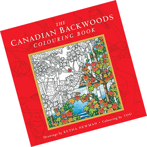 Colouring Book cover